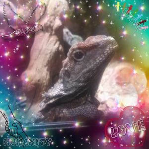 Meet your Posher, Shelly